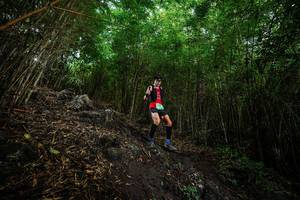 BIB: 
                            <button type="button" onclick="openModal(25097494)" class="btn btn-primary btn-sm float-right btn-popup" data-toggle="modal" data-target=".modal-high-quality">
                        <i class="fas fa-shopping-cart"></i> Add to Cart
                    </button>
                                            <button type="button" onclick="isThisMe(25097494, true)" class="btn btn-success btn-sm float-right btn-popup btn-isme hidden" data-toggle="tooltip" data-placement="bottom" title="นี่คือรูปของคุณใช่ไหม คลิกที่นี่เพื่อเอาเข้าอัลบั้ม">
                        <i class="fas fa-plus"></i> Add to album
                    </button>
                    <button type="button" onclick="isThisMe(25097494, false)" class="btn btn-warning btn-sm float-right btn-popup btn-isnotme hidden">
                        <i class="fas fa-ban"></i> Remove from album
                    </button>